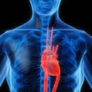 인동초교 이미지