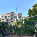 소로3-125 이미지