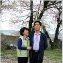 금진초등학교 이미지