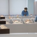 12월부터 공무원 '난임 휴직' 시행…질병 휴직 대신 신청 가능 이미지