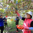 봉현농장 이미지