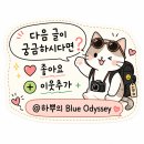 방사형수로 및 조각 | [요르단 와디무사 여행] 세계 7대 불가사의 페트라 오픈런 후기