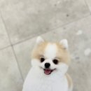 올데이 멍데이 이미지