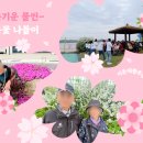 행복나들이 티스토리