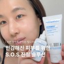 휴먼&카 | 민감성 피부 진정 장벽회복 루틴, 펠드아포테케 MD크림 판테카 선앰플 추천 사용법