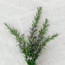 허브 식물과 향기의 이용 이미지