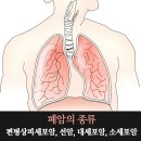 자연힐한방병원 이미지