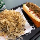 핫&타코1119 네이버블로그