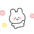 동래센트럴정형외과의원 이미지