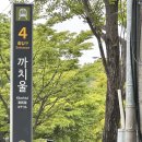 대림카 | 부천 까치울역 7호선 기후동행카드 직접 사용해봄