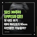 임신 38주차 산부인과 검진 첫 내진 후기 | 태아 머리크기 10cm 자연분만 가능할까?