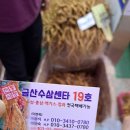 금산수삼센터19호