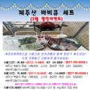 우리들의 댕댕이 이미지