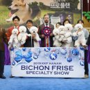 위드퍼피숑 이미지