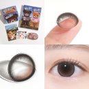 허니베어 | 14.0mm 데일리 빅직경렌즈 추천, NEW 츄렌즈 베어 부 허니초코·더치블랙 컬러 후기!