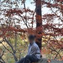 청계산 원터골 화장실 | 등린이의 가을 청계산 원터골-매봉 코스 후기