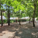 솔밭체육공원 오토캠핑장 이미지