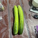 몽산포솔모래펜션