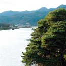 송호 이미지