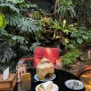 치앙마이🇹🇭 감성 가득한 정원카페 Fern Forest Cafe 후기 🌴