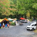 별바라기 캠핑 펜션 이미지