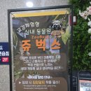 벅스(주) | [쥬벅스] 인천서창 실내동물원 방문 후기