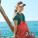 트로이픽쳐 네이버블로그