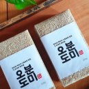 장기양곡 이미지