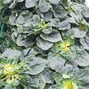 조이할인마트 이미지