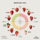 딸기철 마트갈때 들고가는 딸기 가이드🍓 이미지