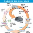 [미래 유망기술] 인류미래 이끌 첨단기술 놀랍네/매일경제 이미지