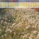 메디행정사사무소 이미지