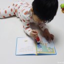 현이네전집 이미지