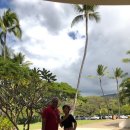 훌라댄스 이미지