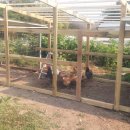 죽계농장 이미지