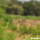 영농조합법인 영인팜 이미지