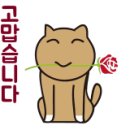 아이젠트리안경 향남점 네이버블로그