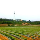 신재생자원센터(문화체육센터) 이미지