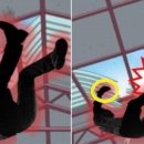 수정-119 이미지