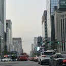 서초구견인차량보관소 이미지