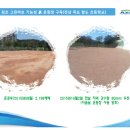 목포항도초등학교 이미지