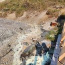 문송농장 이미지