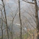 철준사슴목장 이미지