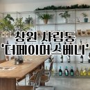 사림동266 | 창원 사림동카페추천 호주식브런치맛집 더페이버스베니 후기