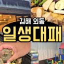 일생대패