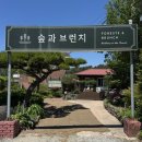 카페천은사에서 | 구레 천은사 근처 맛집 식당 브런치 카페 숲과브런치 주말 방문 후기