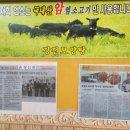 강천보양탕 이미지