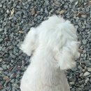 산길별채 | [내돈내산] 경치가 좋다고 소문난 함안 여항면 약수터 산장 _ 8/15 기준