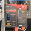 탑 피시 이미지