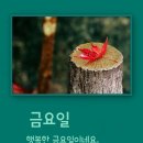 시대무도장 이미지